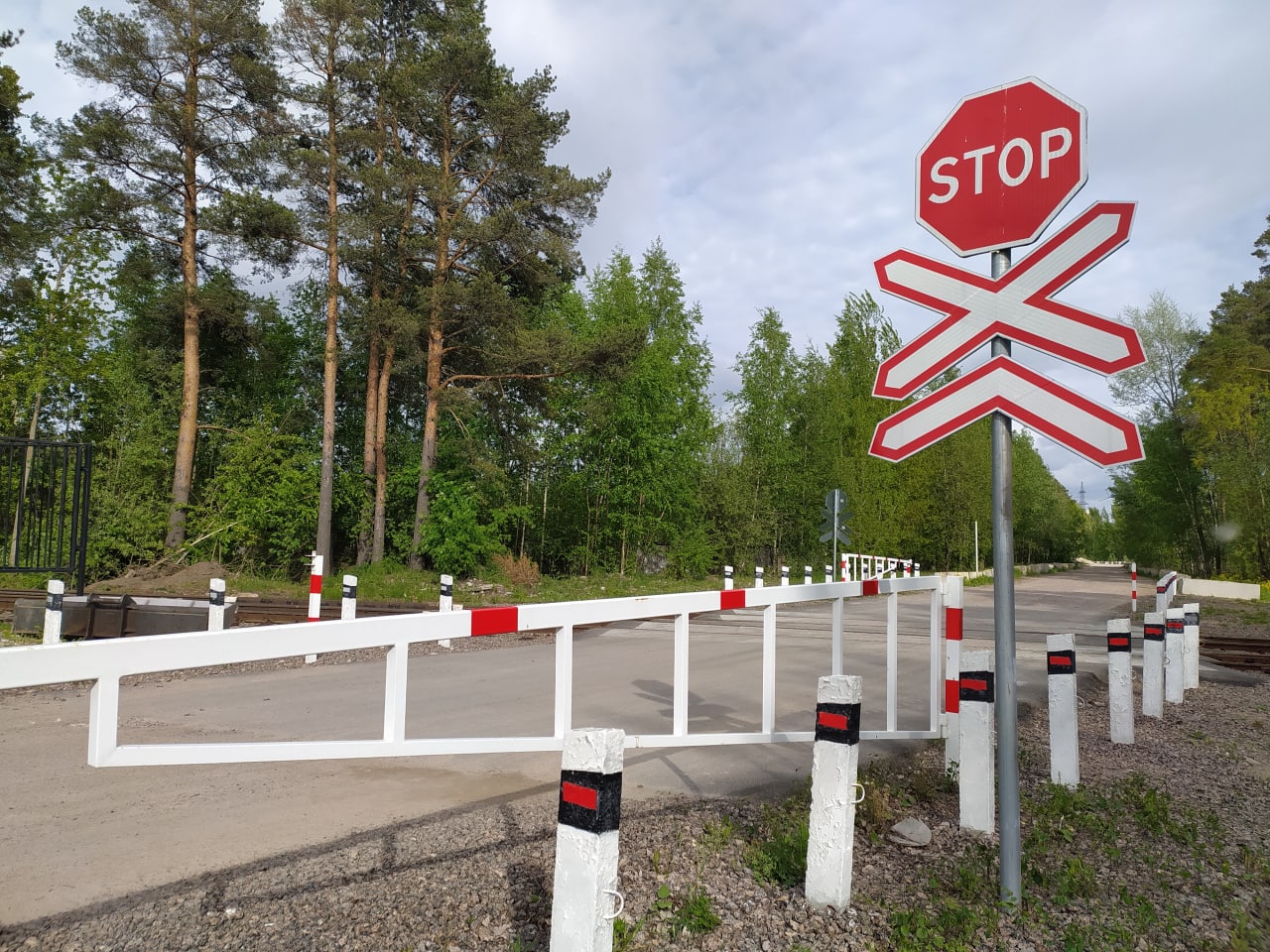 За пределы Запорожской области выдворили женщину