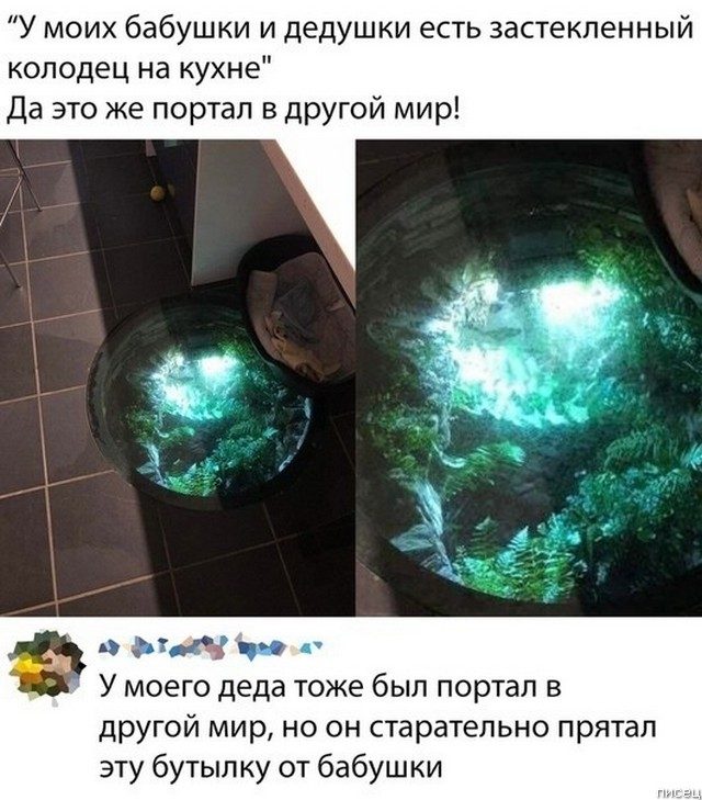 25 прикольчиков декабря из социальных сетей позитив,смешные картинки,юмор