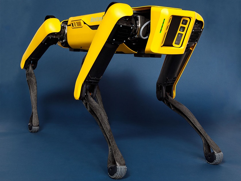 Робот-собака Spot попал в руки «Разрушителя легенд» Адама Сэвиджа. Целый год над бедным роботом будут ставить эксперименты