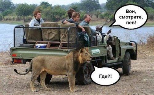 Угарные картинки с юмором Угарные картинки с юмором