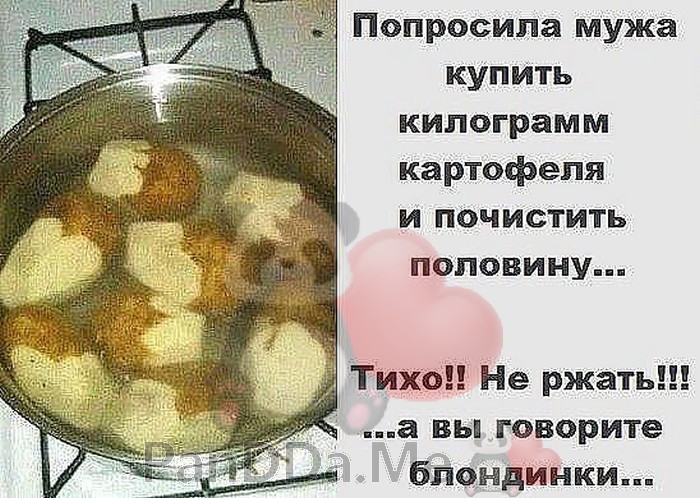 Очередная подборка из 15 добрых и смешных историй спешит порадовать вас Очередная подборка из 15 добрых и смешных историй спешит порадовать вас
