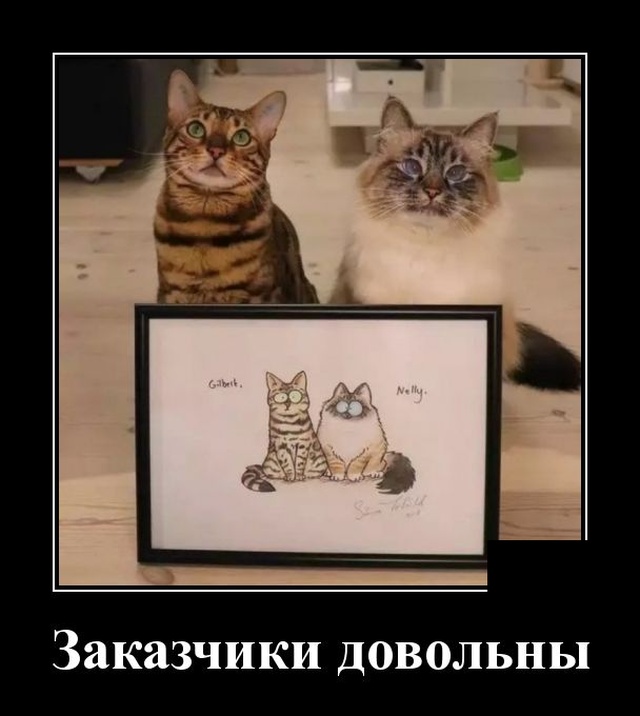 Свежие и забавные демотиваторы на выходные