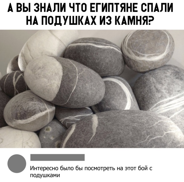 Подборка смешных картинок картинки