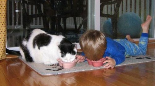 Такие прикольные картинки 2009/2019 Такие прикольные картинки 2009/2019 истории из жизни