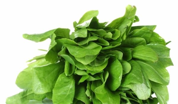 Зеленые листовые овощи