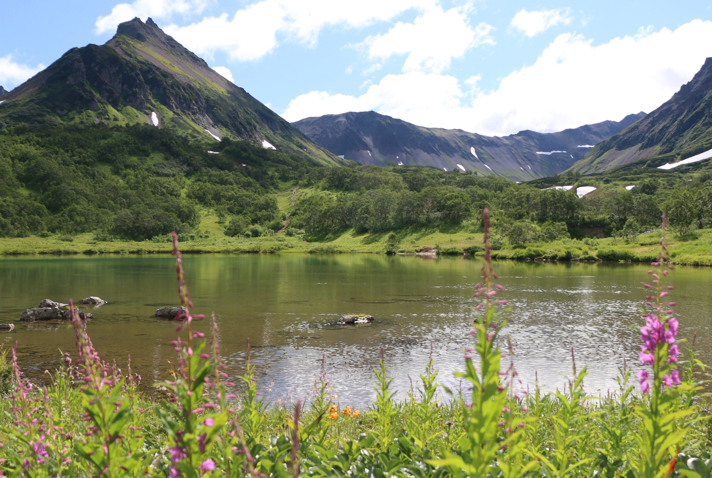 Камчатка. Часть 2. Медведи на планете вулканов. 