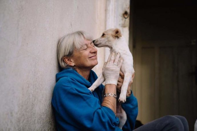 Helens-house-of-hope-A-new-life-for-the-abandoned-and-mistreated-dogs-of-Bulgaria-59db5ec773ec9__880