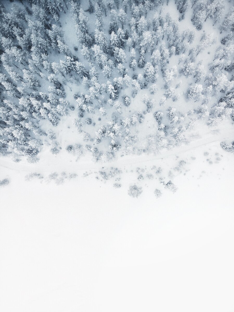 Фотоподборка: Зима чудес