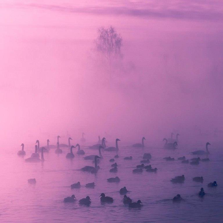 Солянка из прикольных картинок и веселых фотографий с надписями 
