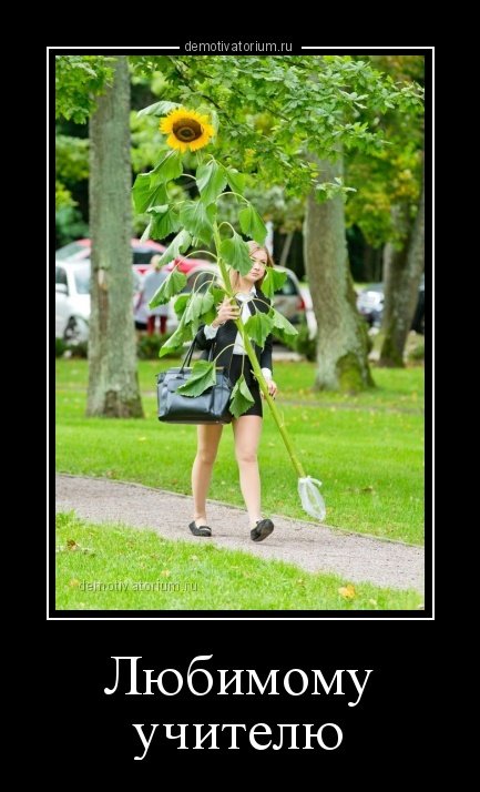 Демотиваторы для настроения Демотиваторы для настроения