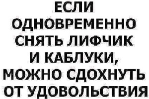 Мы едим кур либо до их рождения, либо после их смерти 