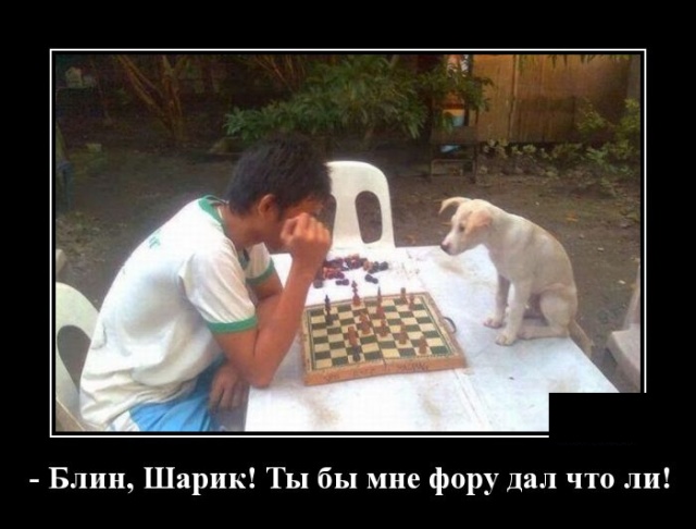 Самые новые демотиваторы Самые новые демотиваторы демотиваторы