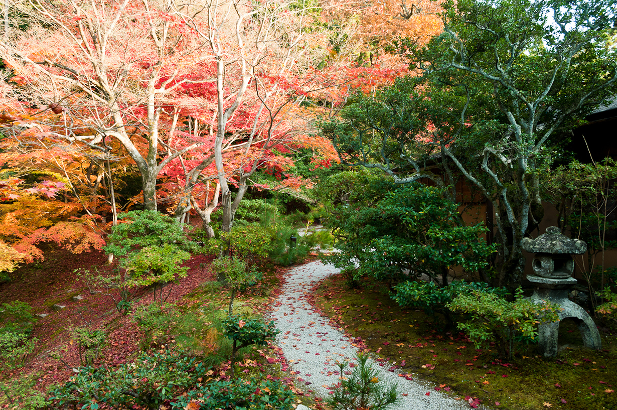 В осеннем парке. (maurizio mucciola)