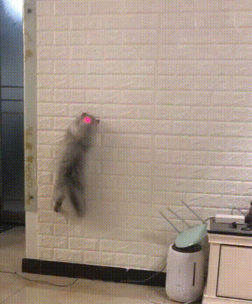 Анимированные приколюхи. Веселье на целый день! смешные картинки