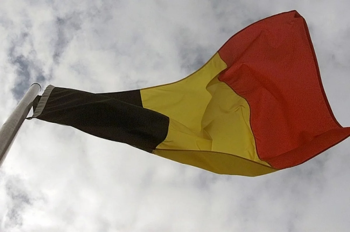 Бельгия выступила против изъятия замороженных российских активов