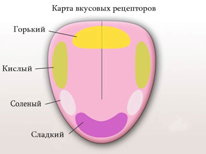 11 фактов, которые могут перевернуть с ног на голову ваше представление о мире могут, человека, золота, только, количество, можно, Ньютона, может, города, тонна, на голову, всего, преступлений, собаки, способен, различают, в мире —, языка, одного, оказался