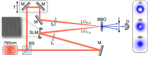 Экспериментальная установка. BS – делитель лазерного луча, SLM – устройство закрутки луча с помощью дифракционной решетки (изображена слева), D – детектор.