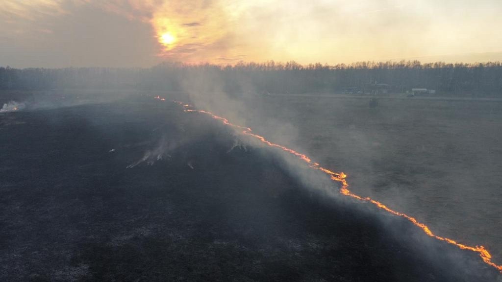 Лесной пожар ликвидировали в Борском районе