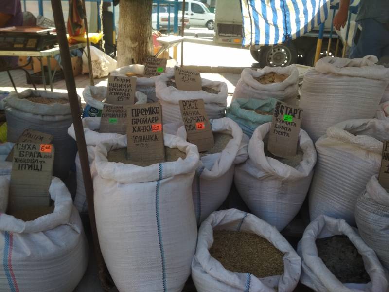 Записки Колорадского Таракана. А мы опять… заболели! Записки Колорадского Таракана. А мы опять… заболели! украина