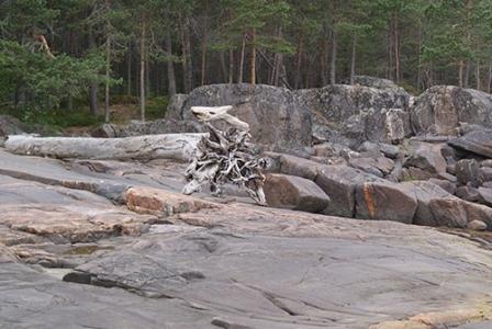 Северный пинежский колдун
