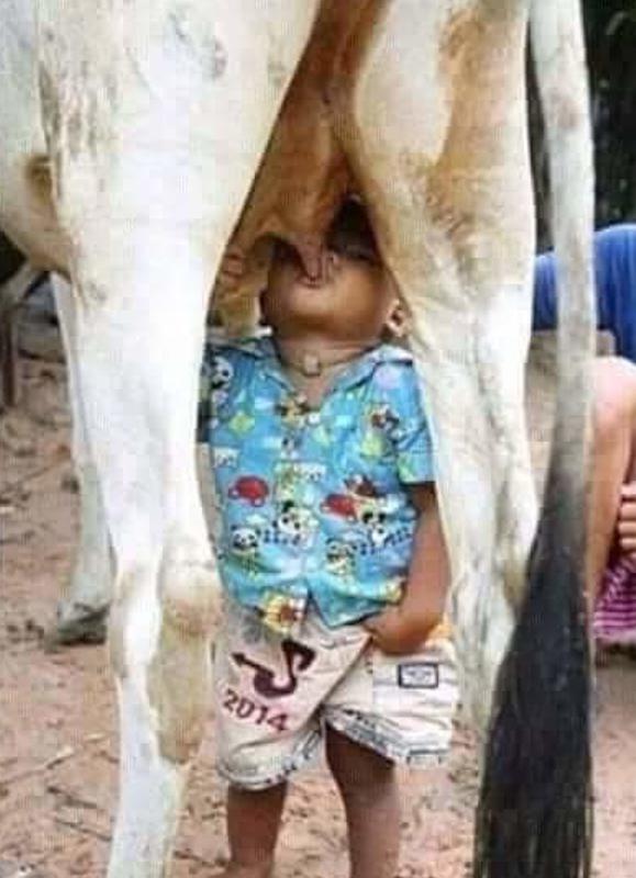 В гостях у бабушки: 20 самых смешных фото про малышей в деревне В гостях у бабушки: 20 самых смешных фото про малышей в деревне воспитание,Дети,Жизнь,Истории,проблемы