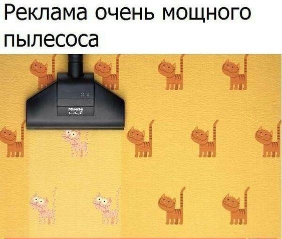 Весёлые картинки 