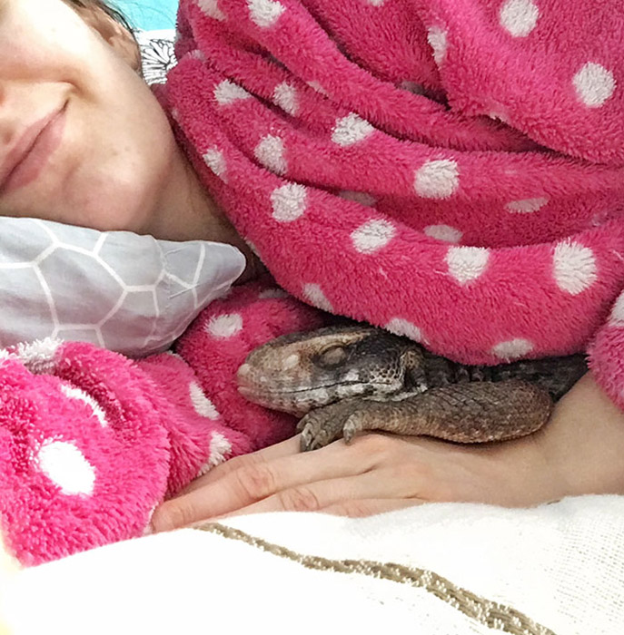 Варан пригрелся на руках своей хозяйки.