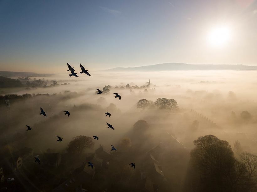 Главные победители Wildlife Photographer of the Year