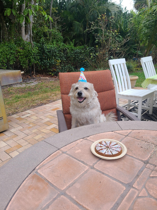 106684829_original (1) (525x700, 481Kb)