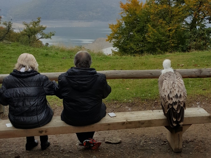 Фотоподборка пятницы на конец осени 