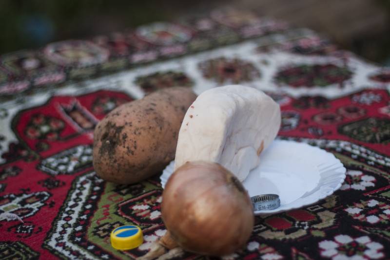 Записки Колорадского Таракана. А мы опять… заболели! Записки Колорадского Таракана. А мы опять… заболели! украина