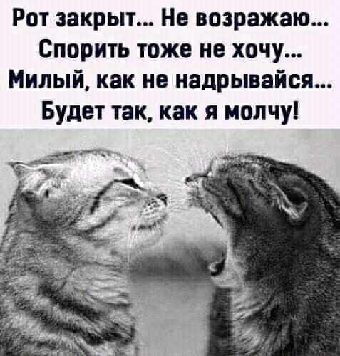 Мальчик был настолько ленивый, что вставал пораньше чтобы ничего не делать подольше! 