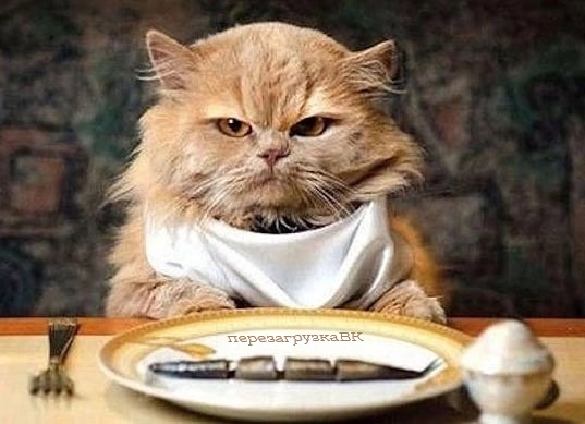 Звонила матушка, рассказала деревенские новости