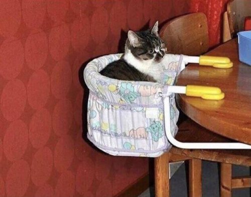 Такие прикольные картинки 2009/2019 Такие прикольные картинки 2009/2019 истории из жизни