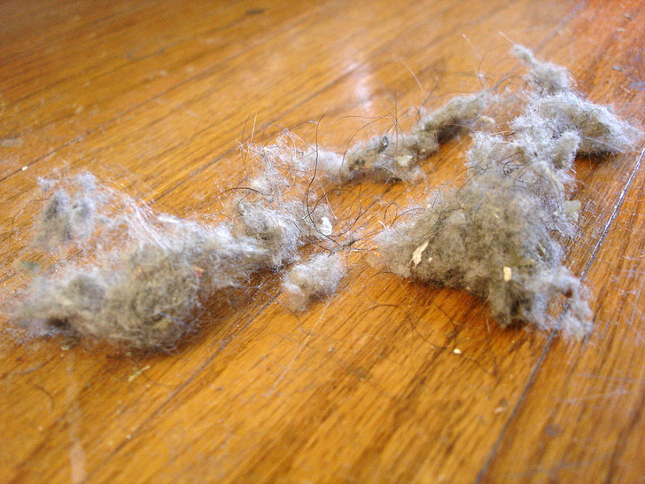 20 неочевидных советов, которые помогут уменьшить количество пыли в доме и реже прибираться полезные советы,уборка