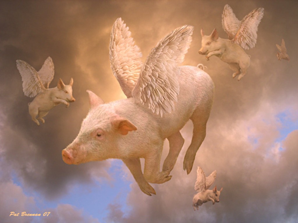 Летающие свинки картинки. Пегасус Крылатая свинья. Свинья с крыльями. Летающая свинья. Свинья с крылышками.