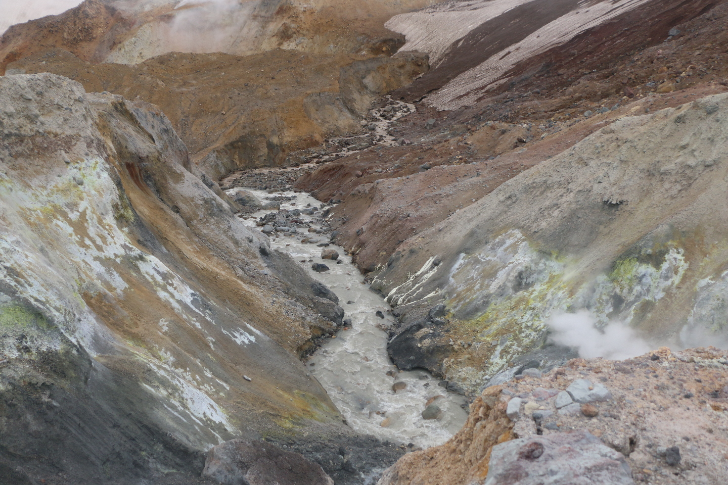 Камчатка. Часть 2. Медведи на планете вулканов. 