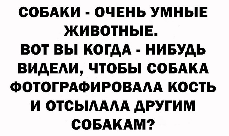 Мальчик был настолько ленивый, что вставал пораньше чтобы ничего не делать подольше! 