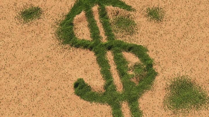 "Рекурсия дня и идиотизм": Сдавшая полиции родную мать американка стала попрошайкой. Виноват Трамп