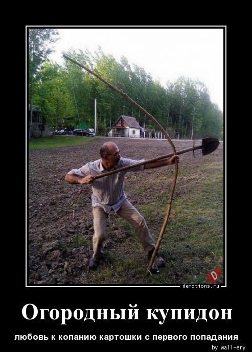 Демотиваторы – картинки: «Здорово, бро!» Демотиваторы – картинки: «Здорово, бро!»