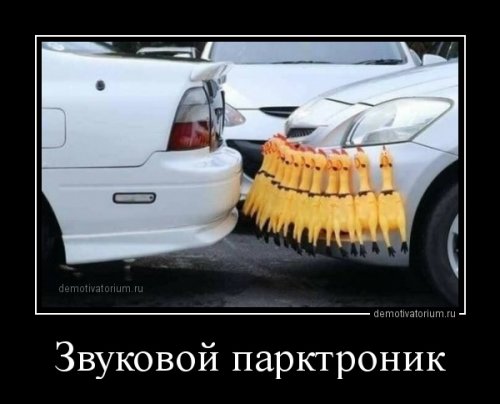 Классная порция демотиваторов 