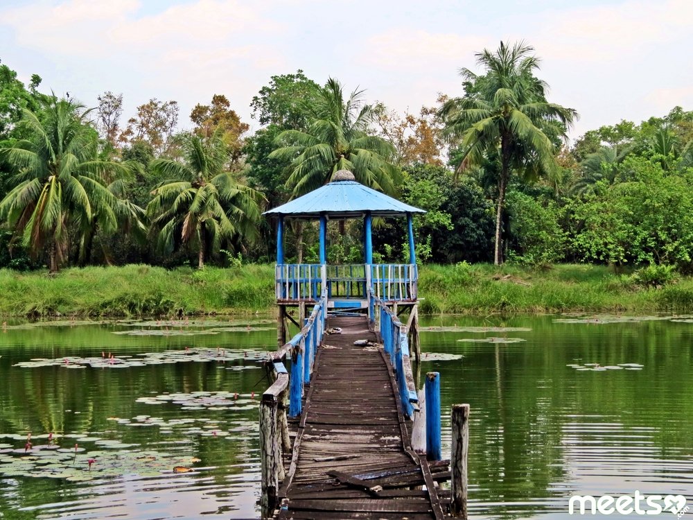 Sundarbans National Park