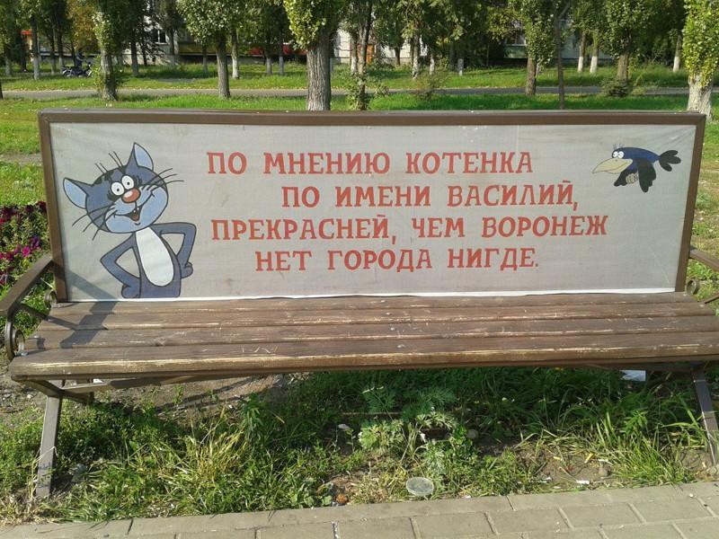 Воронеж противопоказан людям со слабой психикой