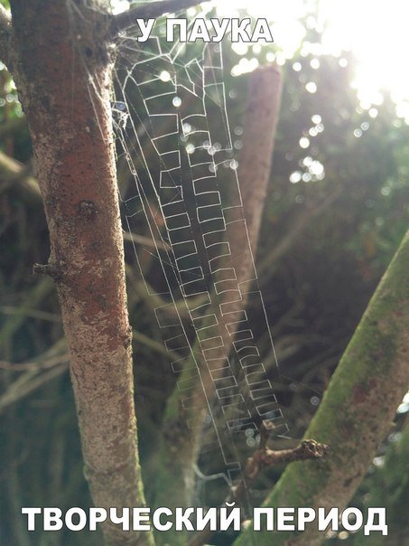 Прикольные фотомемы на Бугаге (26 шт)