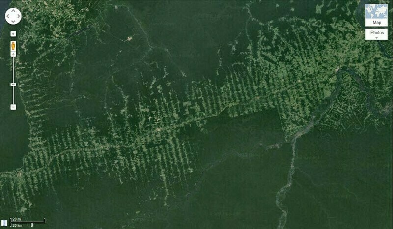Снимок со спутника, на котором отчетливо видна вырубка вдоль дороги. Фото: Google Maps