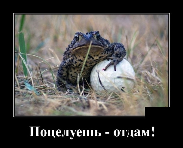 Демотиваторы на 23 октября 