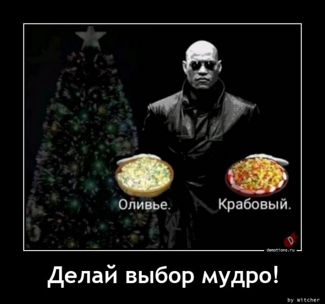 Новогодние демотиваторы 