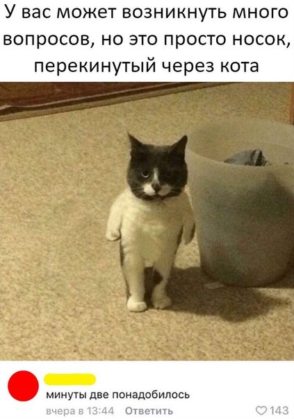 Свежая порция комментариев из социальных сетей позитив