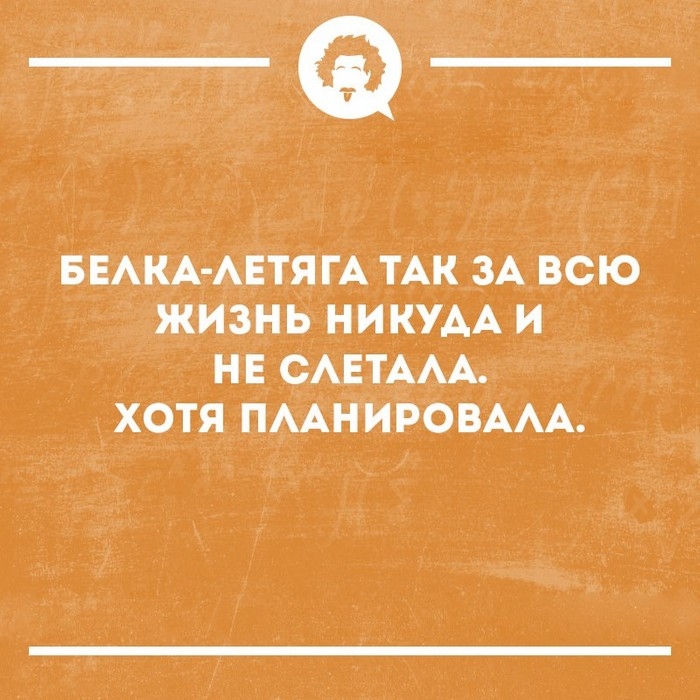 Подборка историй из жизни, которые поднимут настроение на весь день 