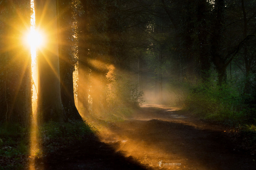 Fotograf Lars van de Gor 15